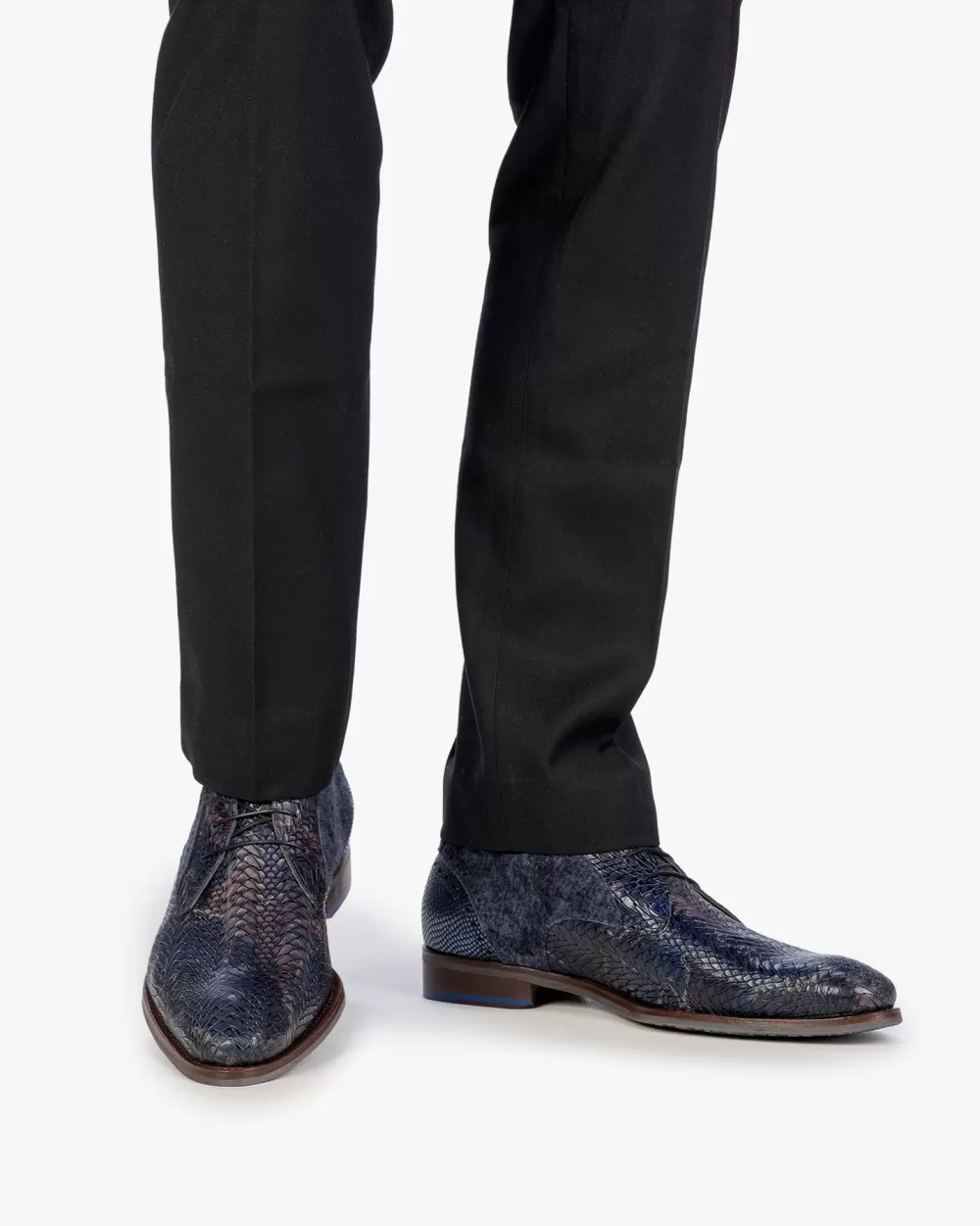 De Stapper 17.83*Floris van Bommel Shop